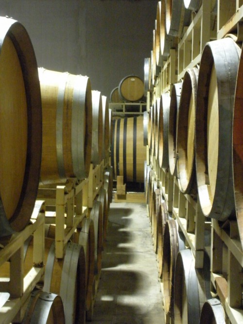 Making Wine: French oak barrels in the cellar