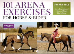 101 Arena exercises for your horse