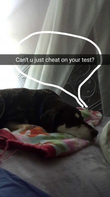 Togo's opinion of this whole thing.