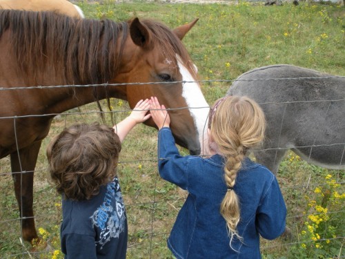 An American Dream Mother's Day Story: Growing up slow and sweet