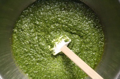 Making pesto