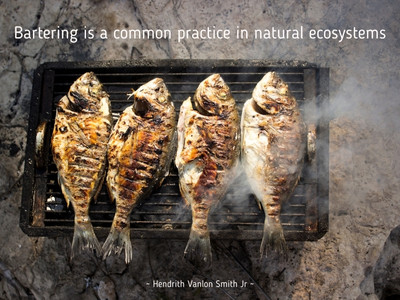 Bartering is a common practice in natural ecosystems quotes