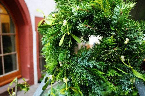 Enjoy Evergreen Travel Dreams During Winter Solstice: Basel Christmas Evergreens