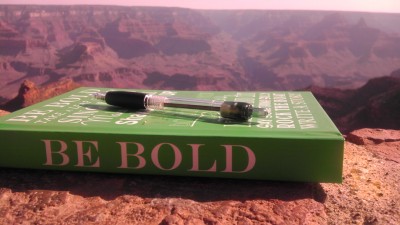 How I Accomplished a Big Dream in a Year: Be Bold Book