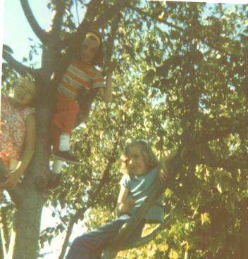 Cath, Carol and Deanna in our backyard tree