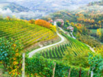 Travel Dreams Turn Life's Sour Grapes into Wine