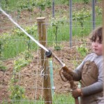 playing in the mud