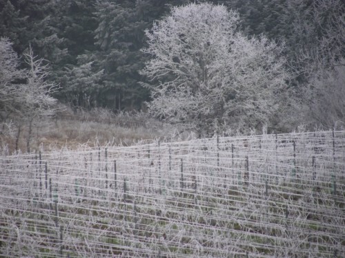 Frosty vines from Country Mouse Visits the City for Christmas