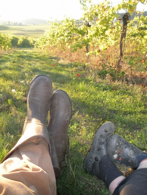 A Father's Day Love Story: Taking a break in the vineyard