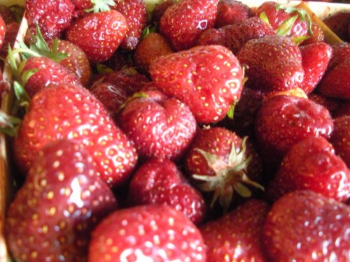 Making the Most of Seasonal Eating: Strawberries from the vineyard garden