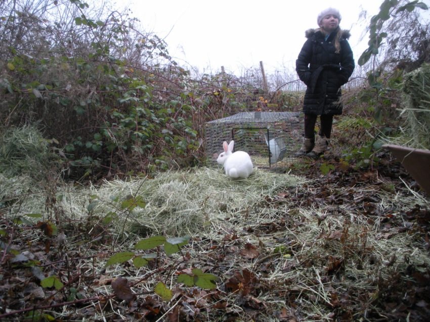 Renee with Jack at creek about to live the American rabbit dream