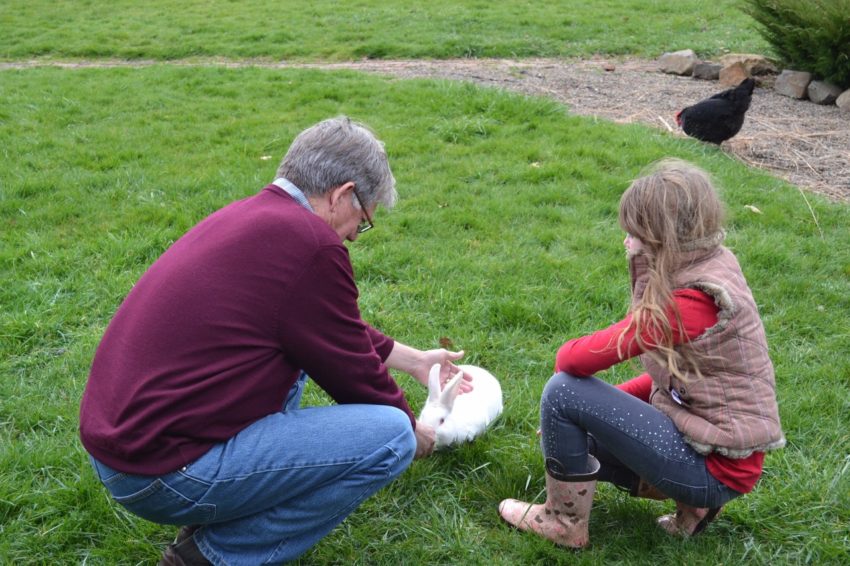 Living the American Dream: Grampa feeding bunny on Friday