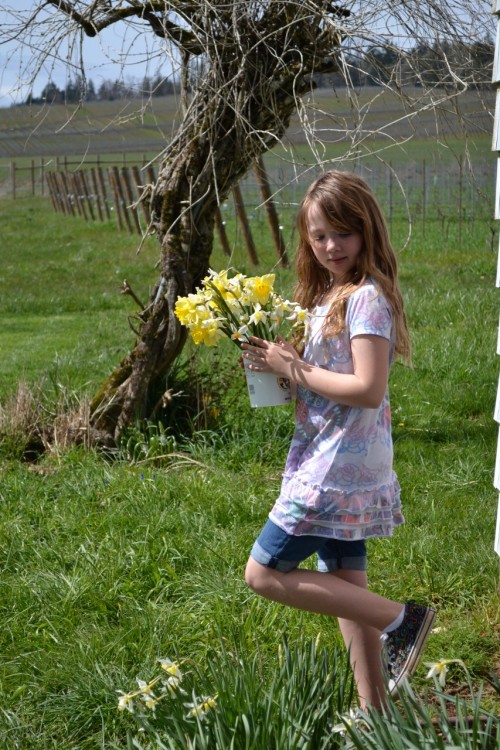 Spring has Sprung: Flowers for our table