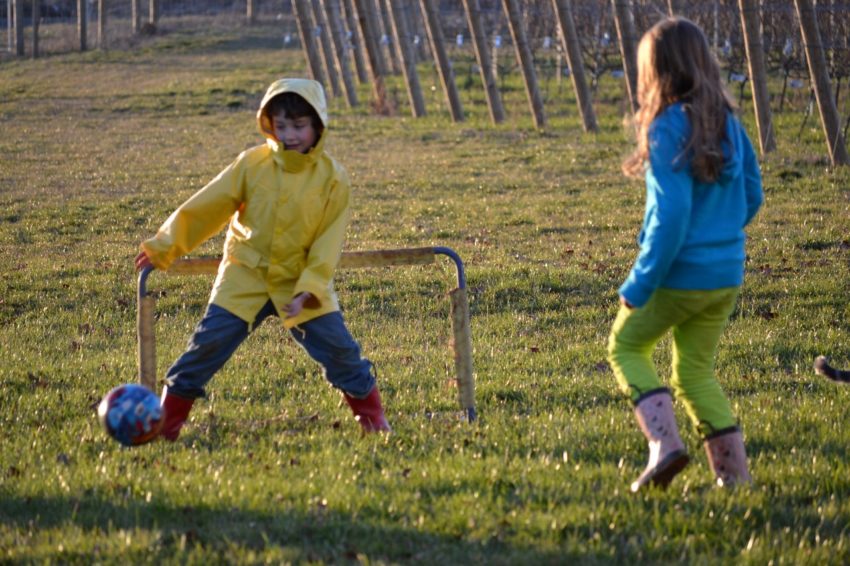 Pruning a Vineyard is Like Raising Children - Recess at our home