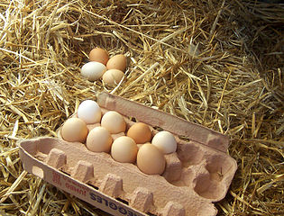 Bag the Supermarket: Free-range Eggs