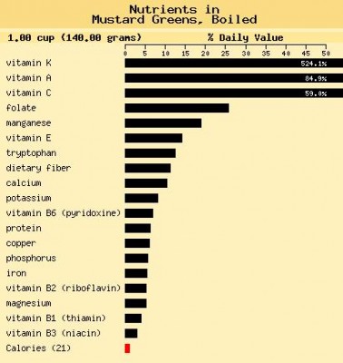 Nutrient value of mustard greens