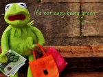 Kermit the Frog quote not easy being green