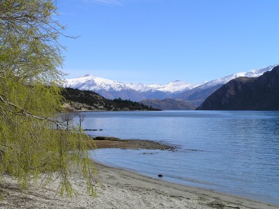 Embark on a New Dream: Lake Wanaka, New Zealand