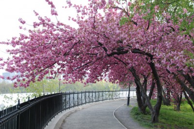 Spring in Action: 92 Days To Change Your Life - NY in Spring on the Hudson River