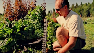 Finding Happiness in Big Sky Country - Mike at Purple Frog Farms