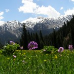 Mountains of Kyrgyzstan