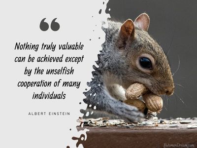 Albert Einstein quote on cooperation