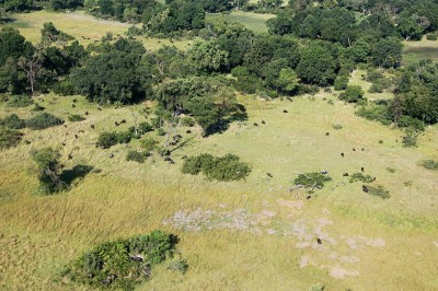 8 Experiences Not to Miss in Southern Africa: The Okavango Delta, Botswana