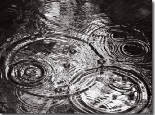 Raindrops Falling Formering Circular Shapes by Images Monsoon