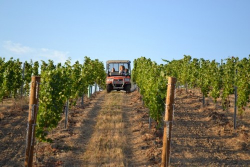 The Call of the Wild: Rushing through the vines on the ATV