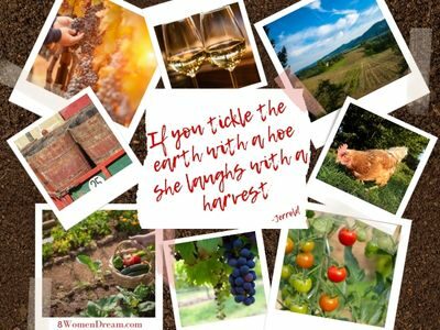 Willamette Valley Vineyard photos & wine quote