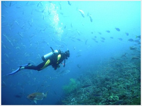 Snorkel or sail the Caribbean’s translucent blue