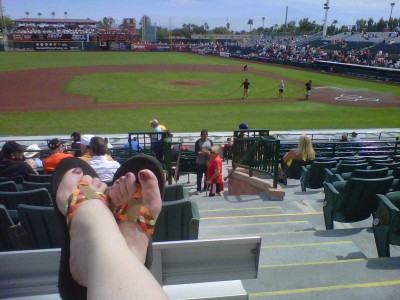 Images of Spring Training Dreams: View from the bleachers 