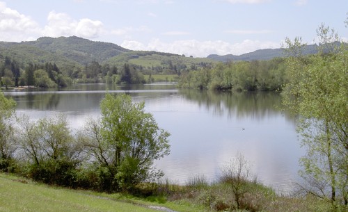 The Dream of Teaching People to Cook in Spring Lake Santa Rosa California