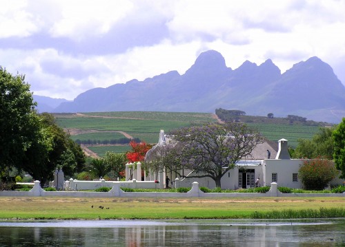 Stellenbosch wine region, South Africa dream travel