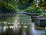 An obstacle is often a stepping stone