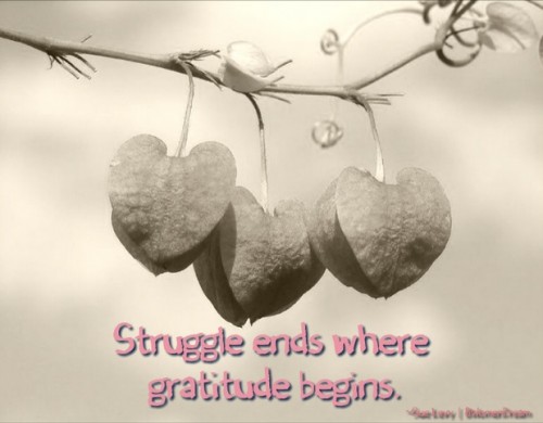 8 Ways to be Thankful on Such a Thankful Thursday: Struggle ends where gratitude begins.