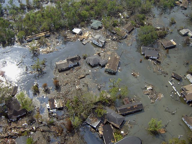 Surviving Hurricanes: A Dream Deferred