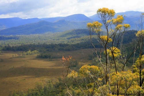 World Travel Dreams: The Western Wilderness of Tasmania