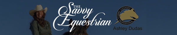 Top 8 Equestrian Blogs and Horse Websites on the Internet: Savvy Equestrian