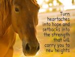 Horse image with quote: "Turn heartache into hope, and setbacks into the strength that will carry you to new heights."