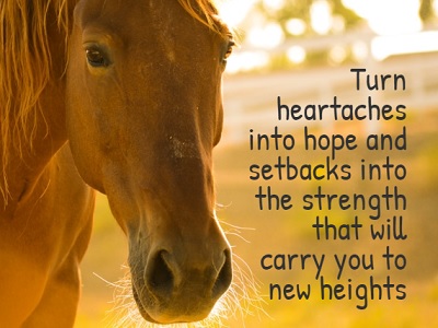 Heal a Broken Equestrian Heart: Turn into Hope