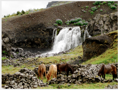 Twenty Something Travel To Iceland