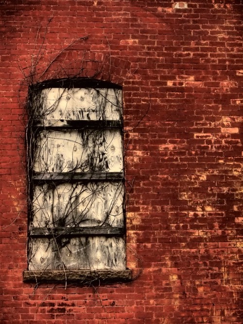 Wordless Wednesday Angel Island Bricks for textured images