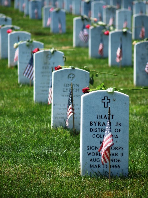 Wordless Wednesday Images of Memorial Day
