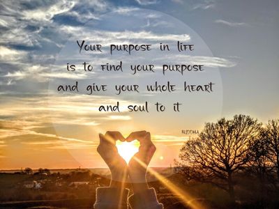 Souls purpose quote by buddha