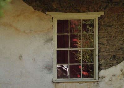 Dream Images Inspired by California Wine Country: Fall window in Northern California