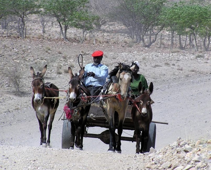 Best Travel Photos from the World Wandering Kiwi: Donkey cart in Damaraland Namibia