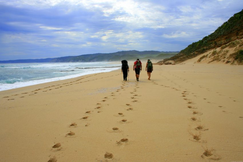 Best Travel Photos from the World Wandering Kiwi: Great Ocean Walk Australia