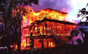 Book-Publishing Dreams Come True with burning down the house