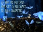 Why I Chose Butterfly as a Symbol of My Book Publishing Dream